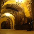 D.O. Rueda, witte wijnen met karakter