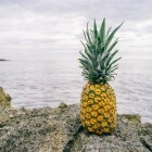 Afvallen met ananas of ananassap