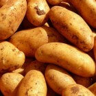 Zijn aardappelen gezond of ongezond?