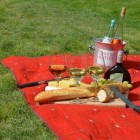 Picknicken: een gezellige zomerse activiteit
