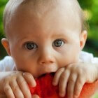 Rapley- en Kleintjesmethode: je baby hele stukken laten eten