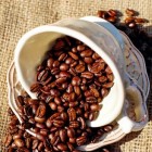 De geschiedenis van koffie: hoe Europa koffie leerde kennen