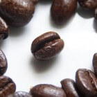 Biologische koffie - voordelen, productie en varianten