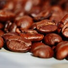 Koffiesoorten: het verschil tussen arabica- & robusta-bonen