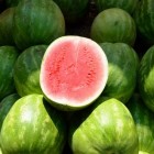 Meloenen zijn lekker en de watermeloen is vooral gezond