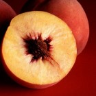 De verschillen tussen een perzik, nectarine en abrikoos