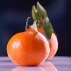 Allerlei informatie over mandarijnen
