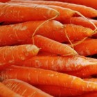 De geneeskrachtige wortel (groente)