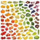 Invriezen van groente, vlees en fruit