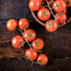 Stoofgerechten met tomaten in de hoofdrol