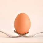 Eieren koken: hoe doe je dat?