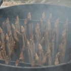 Barbecue Rookoven – gerechten roken in je eigen tuin
