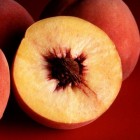 Steenfruit, steenvrucht en verzamelsteenvrucht met pit