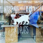 Kopjes: Het eerste kattencafé in Nederland