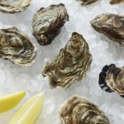 Oester – platte oester en creuse, Japanse oester