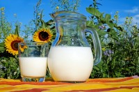 Melk is een zéér aanbevolen voedingsproduct, tenzij men allergisch is. / Bron: Couleur, Pixabay