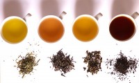 Van links naar rechts: groene thee, gele thee, Oolongthee en zwarte thee. / Bron: Haneburger, Wikimedia Commons (Publiek domein)
