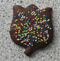 Chocoladekoekje